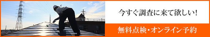 今すぐ調査に来てほしい